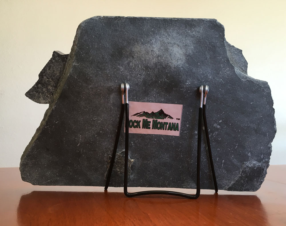 Water Jet Slate Art Rocky Mountain Grizzly Bear - Image 2