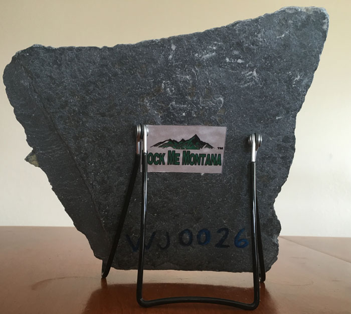 Water Jet Slate Art Rocky Mountain Grizzly Bear - Image 3