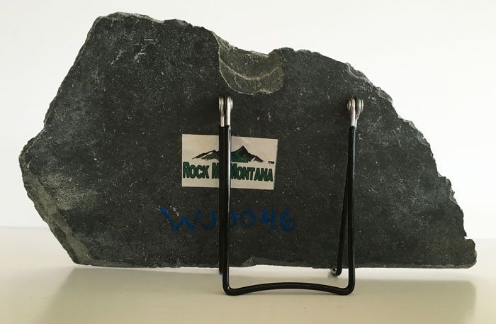 Water Jet Slate Art Rocky Mountain Grizzly Bear - Image 2