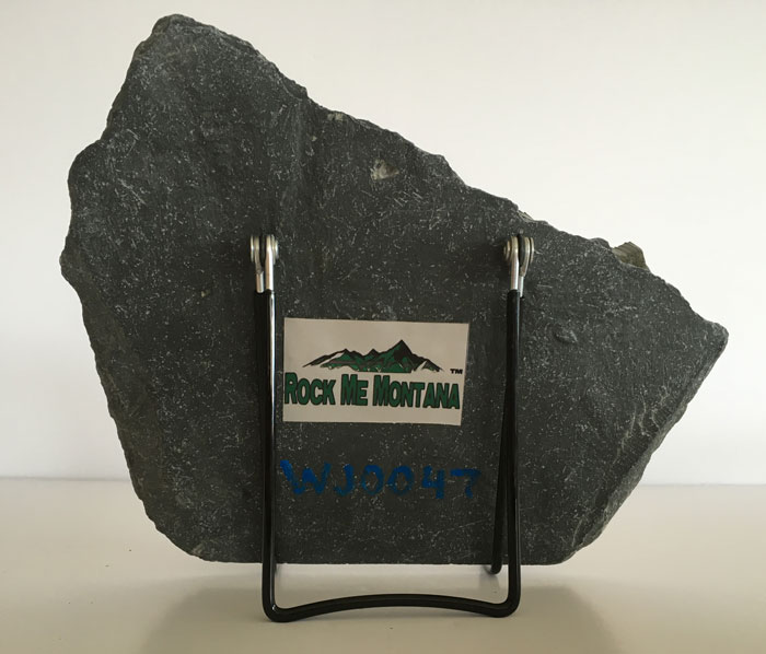 Water Jet Slate Art Rocky Mountain Grizzly Bear - Image 2